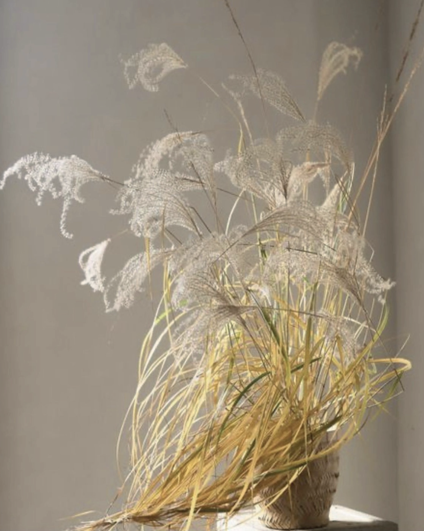Inspiratie 30